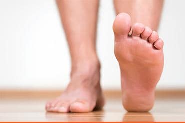 a foot
